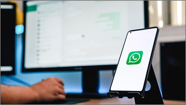 Explorando las Herramientas de Software de Marketing Masivo de WhatsApp: Guía Completa